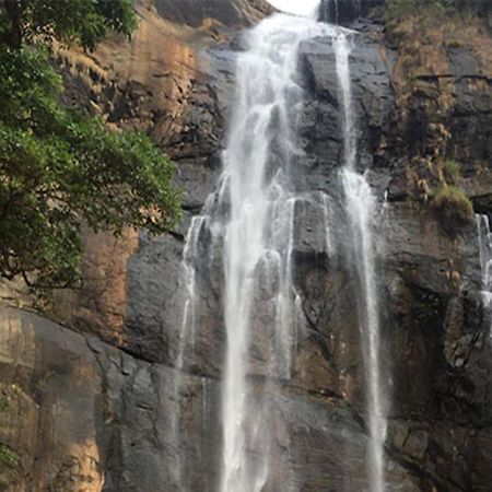 Coastal Grand Mahendravanam - Колли-Хиллс Экстерьер фото